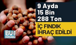 9 Ayda 15 Bin 288 Ton İç Fındık İhraç Edildi