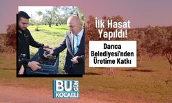 İlk Hasat Yapıldı! Darıca Belediyesi'nden Üretime Katkı