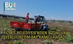 İzmit Belediyesi’nden 8 Tonluk Yerli Üretim Bal Kabağı Hasadı