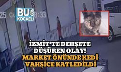 İzmit’te Dehşete Düşüren Olay! Market Önünde Kedi Vahşice Katledildi