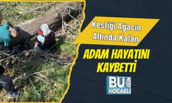 Kestiği Ağacın Altında Kalan Adam Hayatını Kaybetti