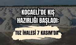 Kış Hazırlığı Başladı: Tuz İhalesi 7 Kasım'da