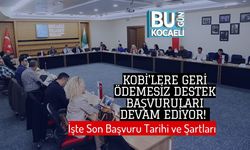 KOBİ'lere Geri Ödemesiz Destek Başvuruları Devam Ediyor! İşte Son Başvuru Tarihi ve Şartları
