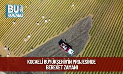 Kocaeli Büyükşehir’in Projesinde Bereket Zamanı