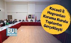 Kocaeli İl Hayvanları Koruma Kurulu Toplantısı Gerçekleşti