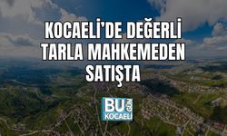 Kocaeli’de Değerli Tarla Mahkemeden Satışta