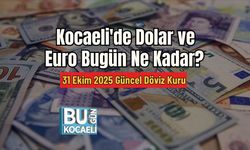 Kocaeli'de Dolar ve Euro Bugün Ne Kadar? 31 Ekim 2025 Güncel Döviz Kuru