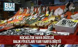 Kocaeli’de Hava Düzeldi, Balık Fiyatları Yarı Yarıya Düştü