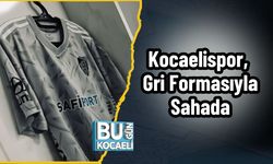 Kocaelispor, Gri Formasıyla Sahada