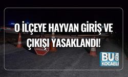 O İlçeye Hayvan Giriş ve Çıkışı Yasaklandı!