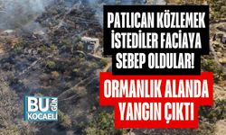 Patlıcan Közlemek İstediler Faciaya Sebep Oldular! Ormanlık Alanda Yangın Çıktı