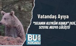 Vatandaş Ayıya “Selamın Aleyküm Kanka” Dedi, Sosyal Medya Gülüştü