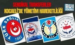 Sendikal Transferler Futbolu Aratmayacak: Kocaeli’de Yönetim Hareketliliği