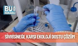 Sivrisineğe Karşı Ekoloji Dostu Çözüm