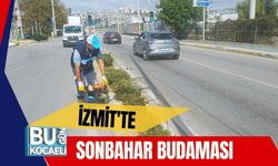 İzmit'te Sonbahar Budaması