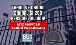 Tarım ve Orman Bakanlığı 200 Personel Alıyor! İşte Başvuru Tarihi ve Şartları