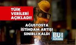 TÜİK Verileri Açıkladı! Ağustosta İstihdam Artışı Sınırlı Kaldı