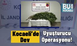 Kocaeli’de Dev Uyuşturucu Operasyonu!