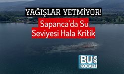 Yağışlar Yetmiyor! Sapanca'da Su Seviyesi Hala Kritik