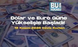 Dolar ve Euro Güne Yükselişle Başladı! 12 Kasım 2025 Döviz Kurları