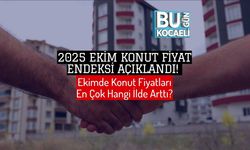 2025 Ekim Konut Fiyat Endeksi Açıklandı! Ekimde Konut Fiyatları En Çok Hangi İlde Arttı?