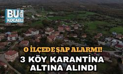 O İlçede Şap Alarmı! 3 Köy Karantina Altına Alındı