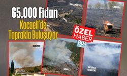 65.000 Fidan Kocaeli’de Toprakla Buluşuyor