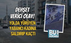 Dehşet Verici Olay! Yolda Yürüyen Yabancı Kadına Saldırıp Kaçtı