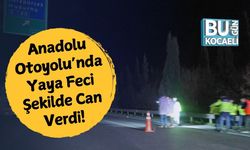 Anadolu Otoyolu’nda Yaya Feci Şekilde Can Verdi!