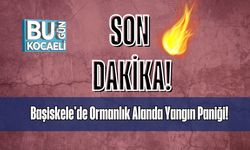 Başiskele'de Ormanlık Alanda Yangın Paniği!