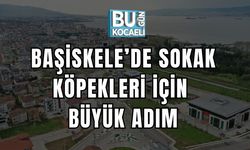 Başiskele’de Sokak Köpekleri İçin Büyük Adım