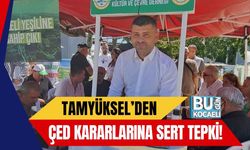 Tamyüksel’den ÇED Kararlarına Sert Tepki!