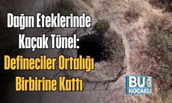 Dağın Eteklerinde Kaçak Tünel: Defineciler Ortalığı Birbirine Kattı