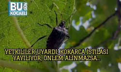 Yetkililer Uyardı: Kokarca İstilası Yayılıyor, Önlem Alınmazsa…