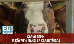 Şap Alarmı: 18 Köy ve 4 Mahalle Karantinada