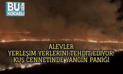 Alevler Yerleşim Yerlerini Tehdit Ediyor! Kuş Cennetinde Yangın Paniği