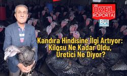 Yılbaşında Hindili Menü Düşünenler Dikkat: Kandıra Hindisi Ne Kadar, Nerede Satılıyor?