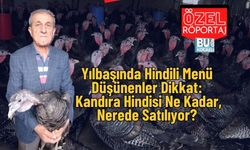 Yılbaşında Hindili Menü Düşünenler Dikkat: Kandıra Hindisi Ne Kadar, Nerede Satılıyor?