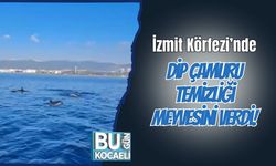 İzmit Körfezi’nde Dip Çamuru Temizliği Meyvesini Verdi!