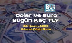Dolar ve Euro Bugün Kaç TL? 22 Kasım 2025 Güncel Döviz Kuru