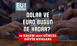 Dolar ve Euro Bugün Ne Kadar? 10 Kasım 2025 Güncel Döviz Kurları