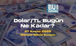 Dolar/TL Bugün Ne Kadar? 27 Kasım 2025 Güncel Döviz Kurları