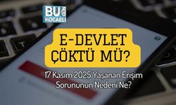 e-Devlet Çöktü Mü? 17 Kasım 2025 Yaşanan Erişim Sorununun Nedeni Ne?