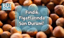 Fındık Fiyatlarında Son Durum! Giresun, Sivri ve Levant Fındık Kaç TL?