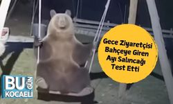 Gece Ziyaretçisi: Bahçeye Giren Ayı Salıncağı Test Etti