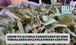 Geçen Yıl Altınla Yarışıyordu Bu Sene Tezgalarda Bollukla Dikkat Çekiyor