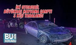 İki Otomobil Büyükbaş Hayvana Çarptı: 3 Kişi Yaralandı