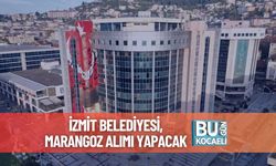 İzmit Belediyesi, Marangoz Alımı Yapacak