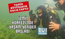 Tahir Büyükakın Dalış Yaptı! İzmit Körfezi’nde Yaşam Yeniden Başladı
