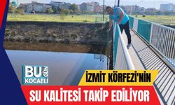 İzmit Körfezi'nin Su Kalitesi Takip Ediliyor